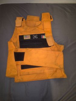 Orange Vest