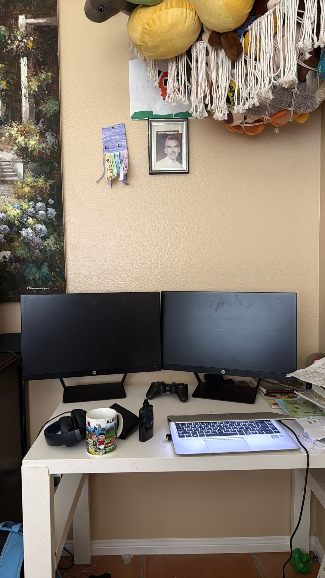 Duel Computer monitors, HP 22cwa
