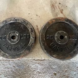 2 25lb standard weights
