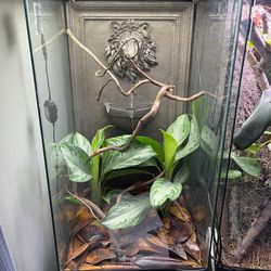 Zoo Med Sky Scraper Terrarium 18x18x36