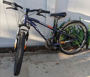 Schwinn Ranger 25" wheels, boys bike