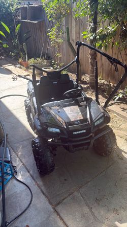 real tree toy car