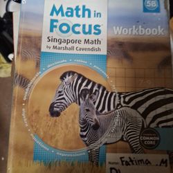 Math Focus Book