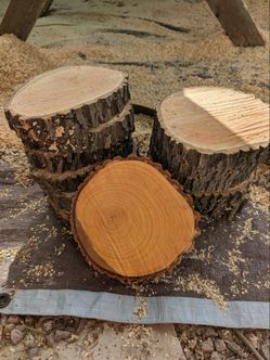 Rustic Wood Rounds