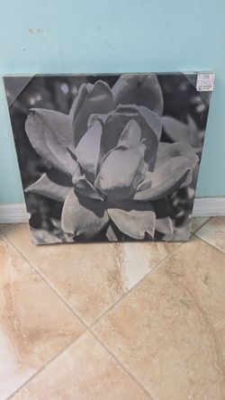 A collection of artwork and mirrors