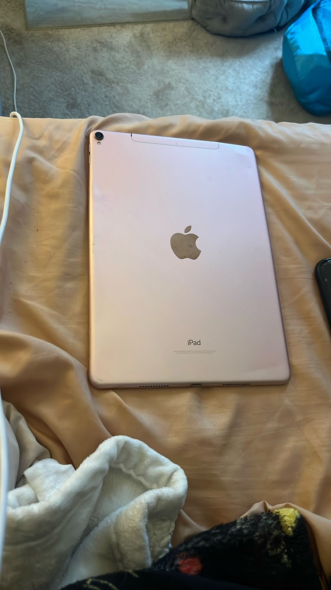 iPad w/camera