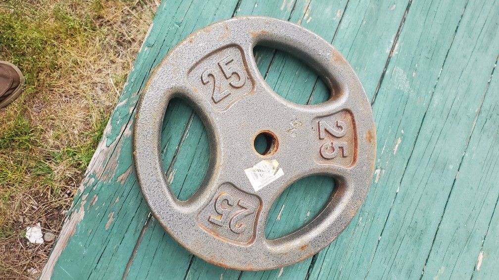 One 25 pound Standard Grip Weight