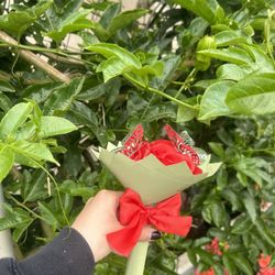 Mini Ramo Eterno ❤️💐