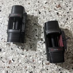Powerblock Dumbbells 90lbs