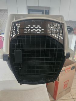 Dog kennel