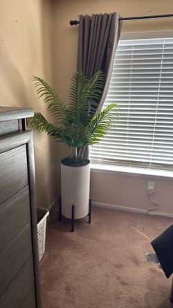 Plants