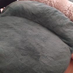 Kids Got Guests? Get A Nest!