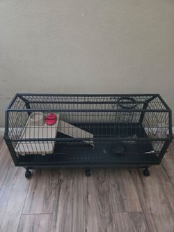 Large pet cage