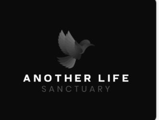 Fish Tanks Fish Reptiles Encloser Sanctuary Free