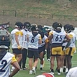 AUTHENTIC THREE RIVERS FIELD ARTIFICIAL TURF RELIC