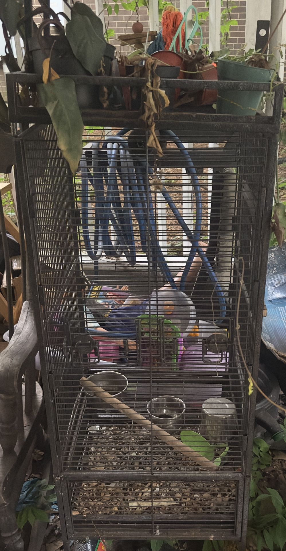 Huge Bird Cage’s