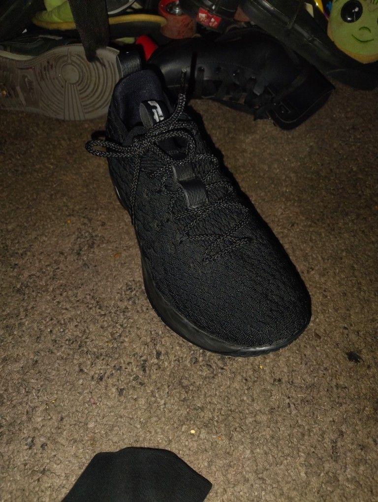 LeBron Nike Basketball Shoes