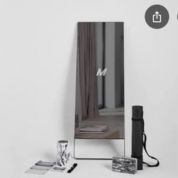 LuLuLemon Exercise mirror