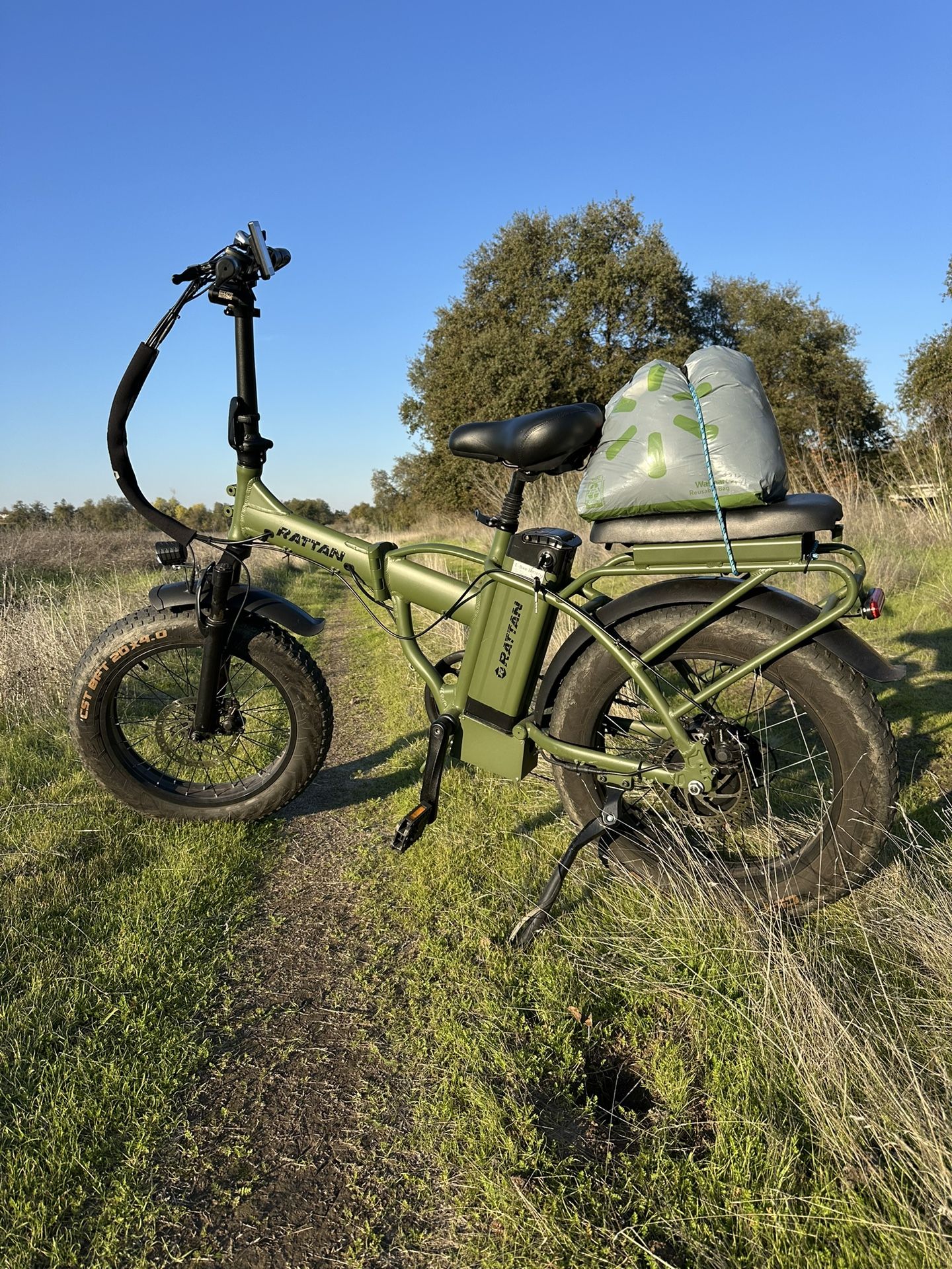 Rattan electric bike