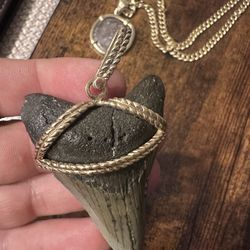 Megladon & 10k Gold Wrapped Pendant 