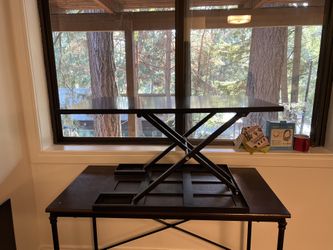 Sit To Stand Platform 