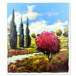 Mark Braver, Limited Edition Serigraph, Hand Signed and Numbered with Letter of Authenticity.