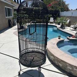Bird Cage