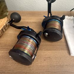 Diawa Saltist 30 