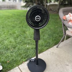 Pedestal Fans with Remote,75°+75° Oscillating Air Circulator Fan, 3 Speeds 3 Modes, 2025 New