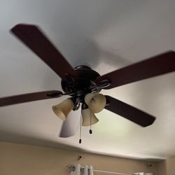 Ceiling Fan For Sale