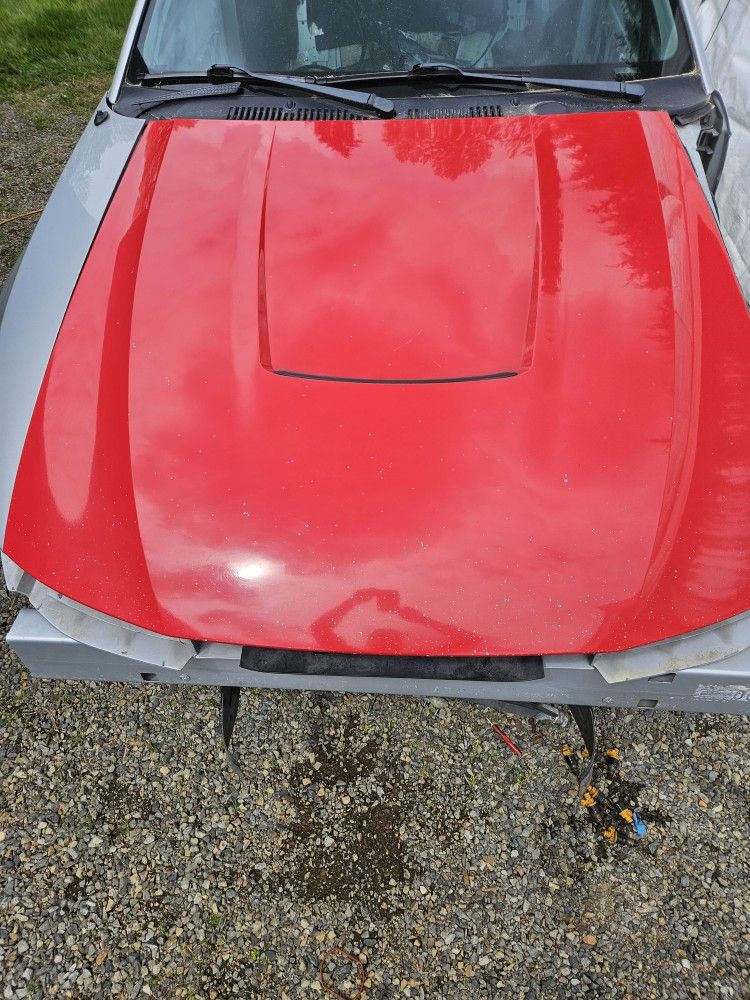 Ford Mustang OEM Factory Hood 99-04