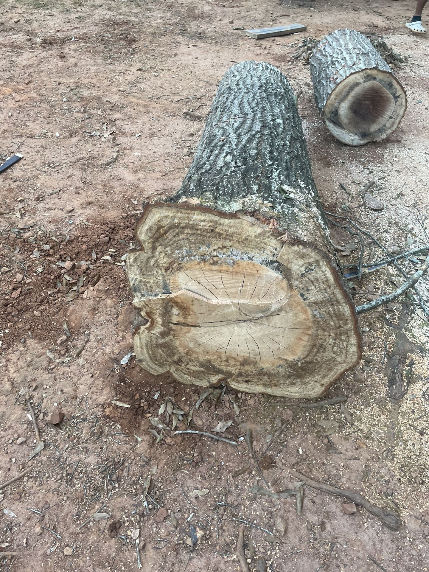 Firewood