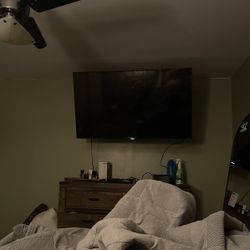 Roku Tv Smart