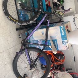 C2 Collective Bike 