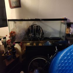 100 gallon fish tank for sale for 80 bucks