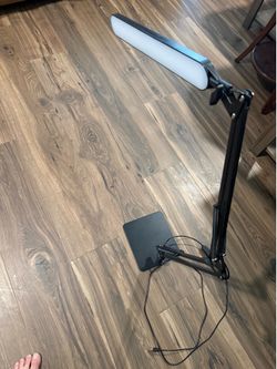 Computer or Desk Lamps x2