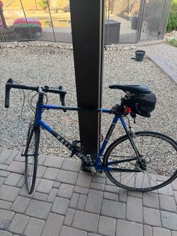Raleigh Rode Bike