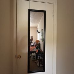 Door Mirror