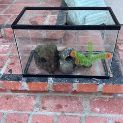 Fish Tank With Decorations