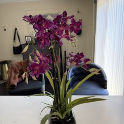 Orchid Decorative  Plant 24”