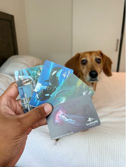 4 SeaWorld Tickets