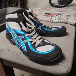 Wrestling Shoes 