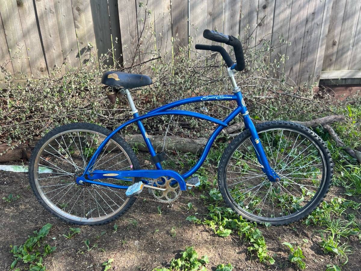 Earth Cruiser Bike