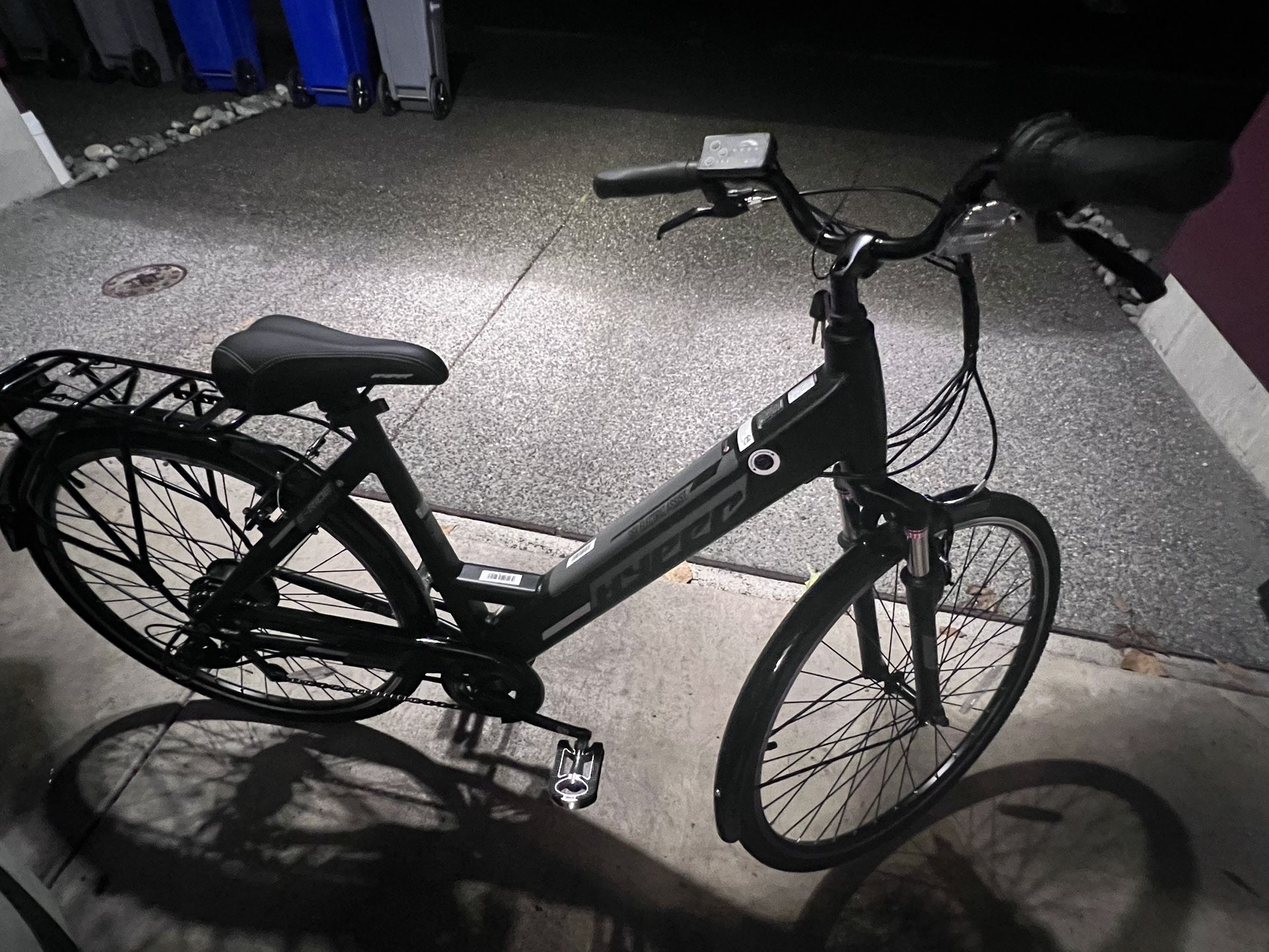 Adult Electric Bike