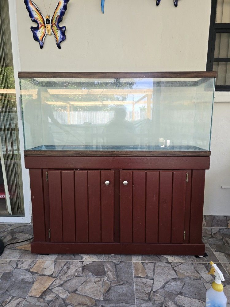 Fish Tank