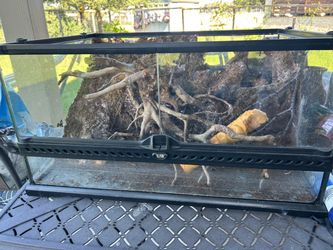Custom made reptile enclosure