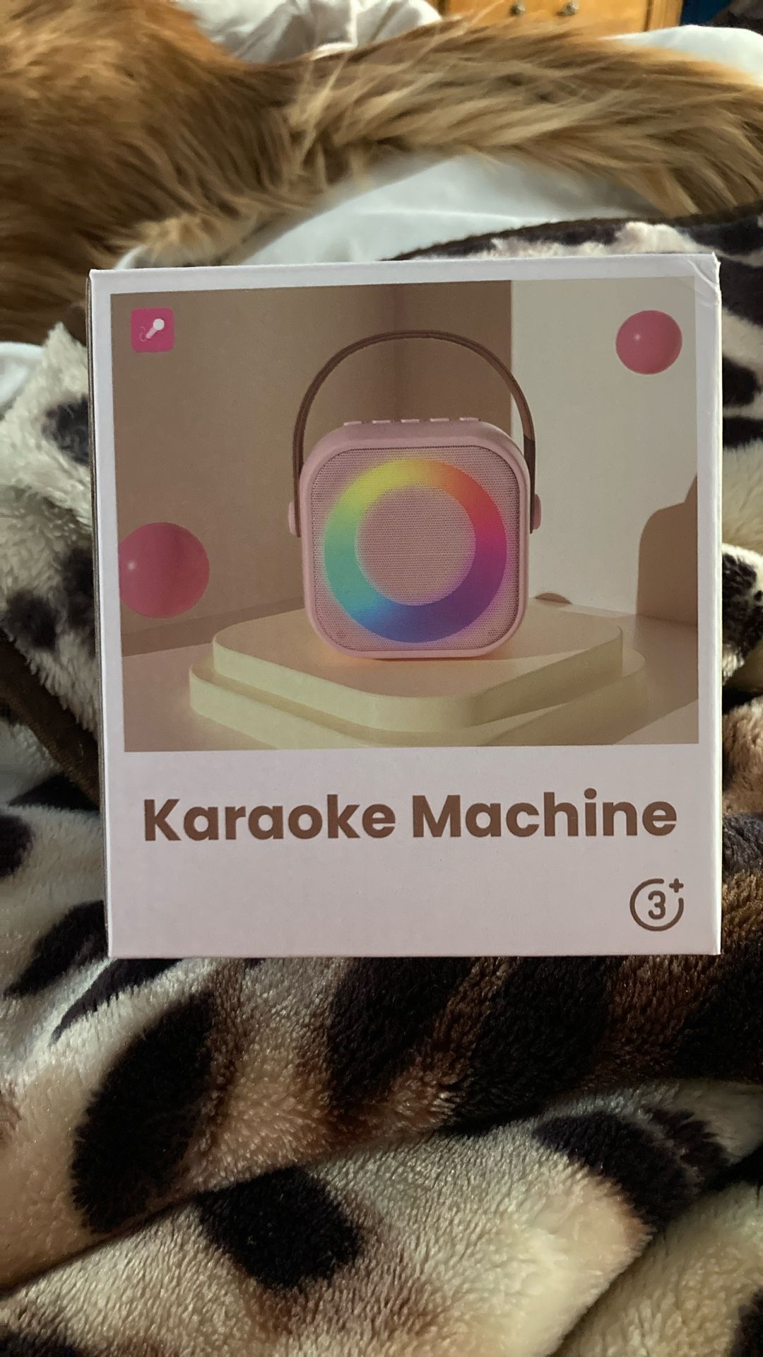 Karaoke machine
