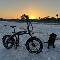 Swift S1 Folding Fat Tire Electric Bike, Ebike