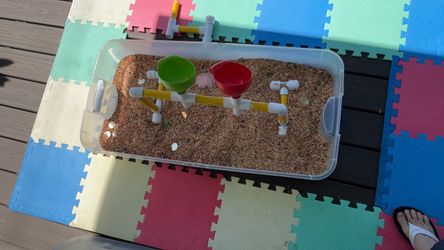 Sensory box with lid and bird seed .