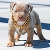 Rashaun